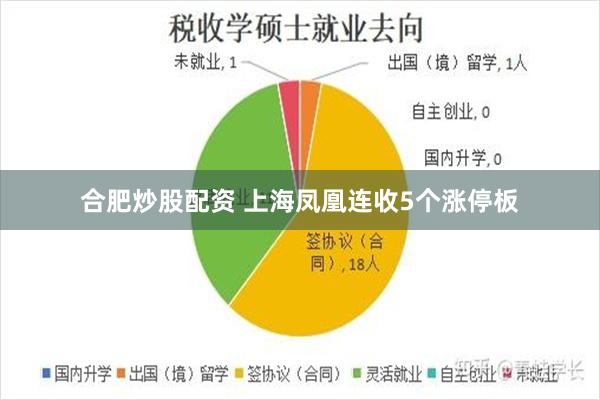 合肥炒股配资 上海凤凰连收5个涨停板