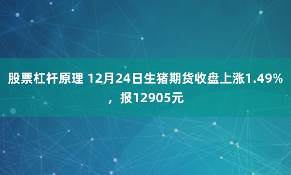 股票杠杆原理 12月24日生猪期货收盘上涨1.49%，报12905元