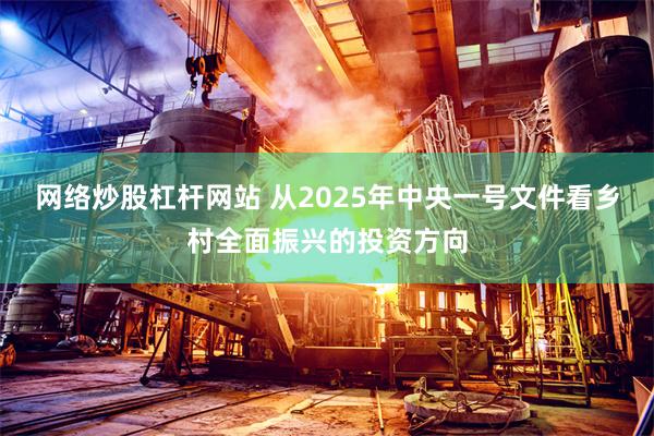 网络炒股杠杆网站 从2025年中央一号文件看乡村全面振兴的投资方向